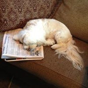 Patty Holt's photo