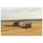 Chad Weckerly's photo