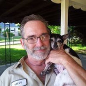 Steve Wilson's photo