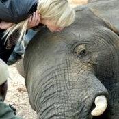 Foto von Shandre Human