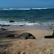 Maria elma perez sanchez's photo