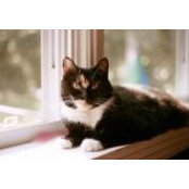 Suzanna Budvwitz's photo