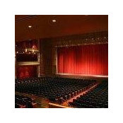 Diane Pierre's photo