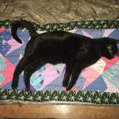 Whitney Larson's photo