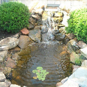 Ponds and Water Features