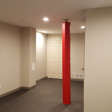 Play Filled Basement For Kids and Adults