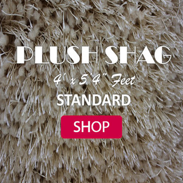 PLUSH SHAG IN SIZE 4' ft. x 5 ft. AREA RUGS