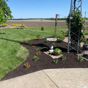 Butterfly Garden