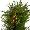45" Spiral Cypress Faux Tree W/ 80 Clear LED Lights UV Resistant, Indoor/Outdoor