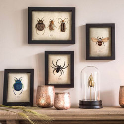 Framed Embroidered Insects - Mixed Media Art