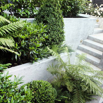 Coxhead House Garden