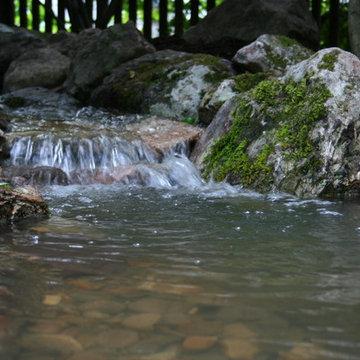 Water Features