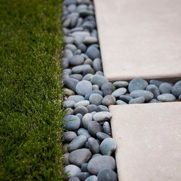 Contemporary Landscape