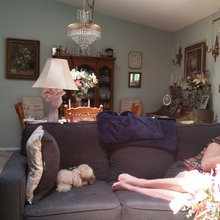 lydia_laurel's ideas