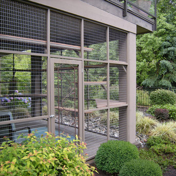 Catio Spaces