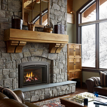 Gas Fireplace Inserts
