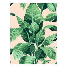 lianna_kate's ideas