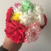 Foto von Hajar Haggag