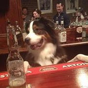 Nicole Chiacchiero Wertheimer's photo