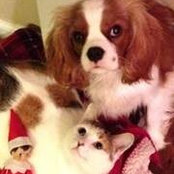 Michelle Mcgraw's photo
