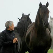 Carlene Bronner's photo