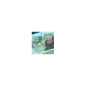 Karen Eckert's photo