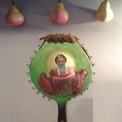 Foto von Eliz Medrano