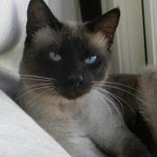 Tina Pickett's photo