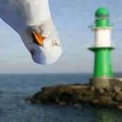 Foto de Terri Eickhoff
