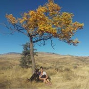 Stephanie Brown's photo