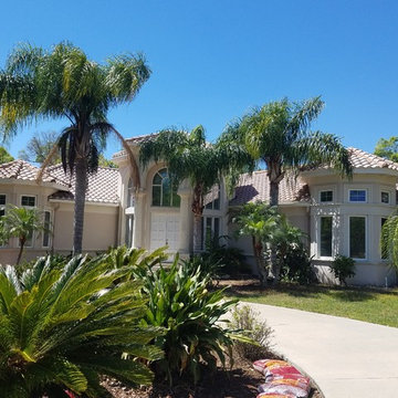 Tile Roof & Driveway