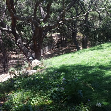 Westlake Village Property