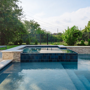 The Lew Family Project - 90k+