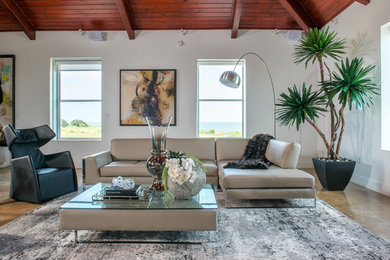 Living room - contemporary living room idea in Houston