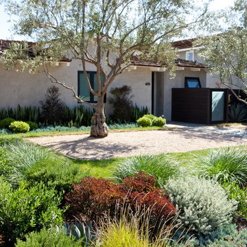 Masculine Modern