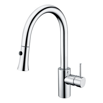 Luxier KTS11-T Single-Handle Pull-Down Sprayer Kitchen Faucet, Chrome