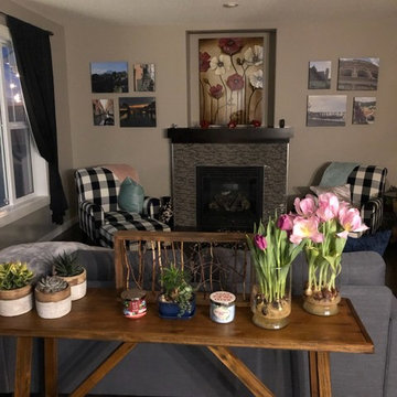 Upgraded Family Room