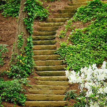 Steps