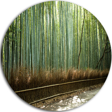 Beautiful View Of Bamboo Forest, Forest Round Metal Wall Art, 11"