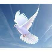 Alisa Loveday's photo