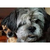 LK Hoyt's photo