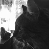 Kenneth Johnson's photo