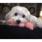 Cathy Koebler's photo