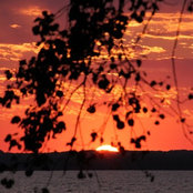Lisa Gabrielson's photo