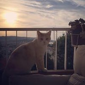 Marion Brunelli's photo