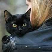 Mary Rock's photo