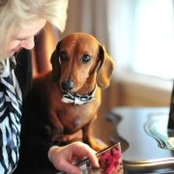 Tammy Hostetler's photo