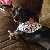 Debby Holman's photo