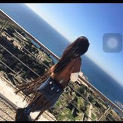 Photo de Teba Alnaime