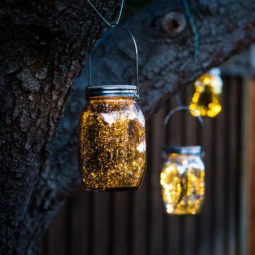 Mountain View Rustic
